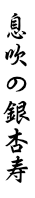 息吹の銀杏寿